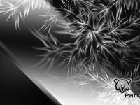 Pardus Glass Leaves II By Sakasa